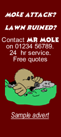 Mr Mole demo advert